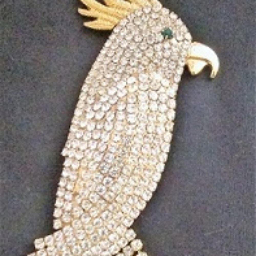 Beautiful Parrot Pin